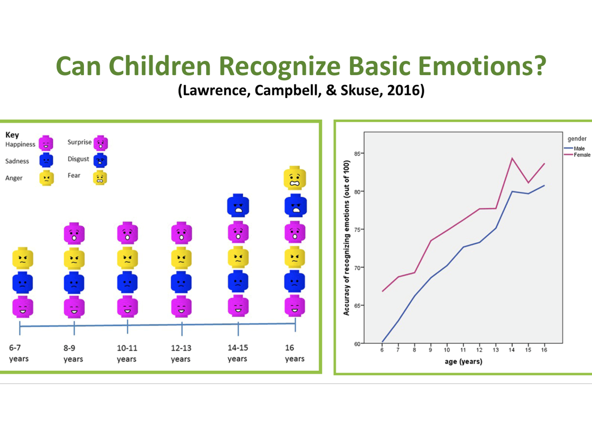 Visual of child social-emotional development data